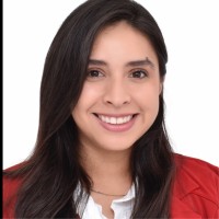 Laura Lorena Colmenares Negrete