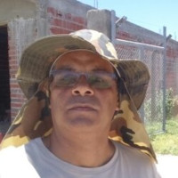 Valter  Araujo Cardoso