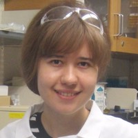 Svetlana Kholodar