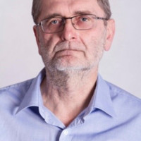 Vladimir Havlik