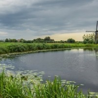 Vakafdeling Lw Kivi