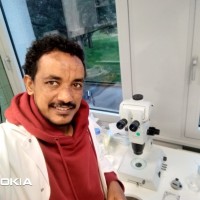 Zerihun Getachew Gebrehana (Phd)