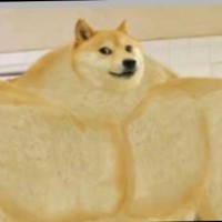 Da doge