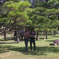 Anna widi-Argo Pantes