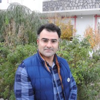 Mohammad Aref Timory