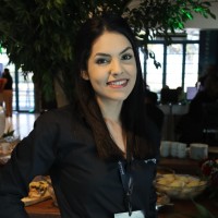 Andreza Lino