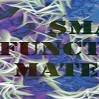 Smart Functional Materials Group Sfmg At Cematep Hmu