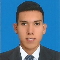 Rodrigo Agudelo Silva