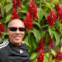 Paulo Cesar F.Sena Sena