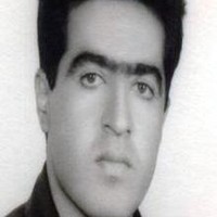 R Mirzaei