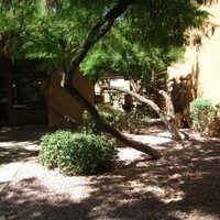 Desert Place