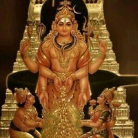 Raja R