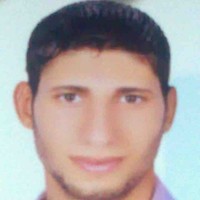 Fathy Sayed