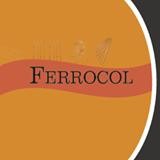 VAGNER FERROCOL