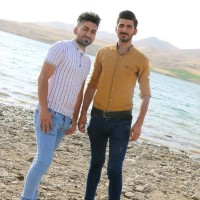 Dana Abdollahi