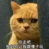 李崇武