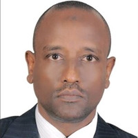 Tarig Elsawi Khalafalla DipIFR