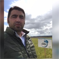 Juan Emilio Masa Suarez