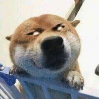 朱泽南