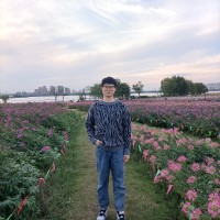 Wang Junwei