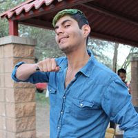 Hansel Palomares quezada