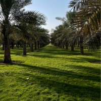 Eng.Yousef Alfudayli