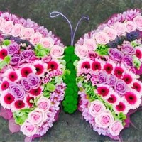 Tahir Mehmood