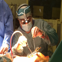 Ledu Lara Md