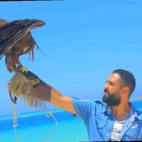 Mohammed Yehia