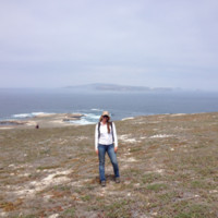 Terry Joslin Azevedo, PhD