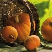 AgroCampania Massimo Fedele