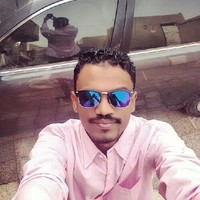Anas Elsafi