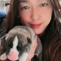 Nicole Shen