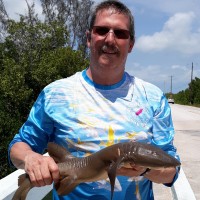 Rick Brink