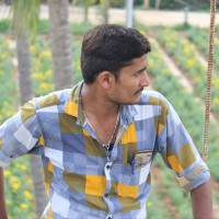 Madhusudhan M