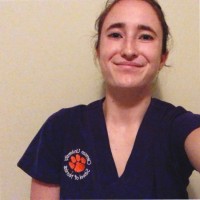 Lauren Stolz