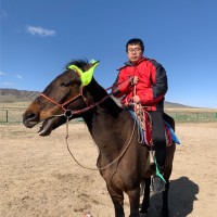 Zhang Junqing