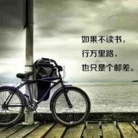 刘林红