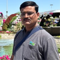 Gyanendra Roy