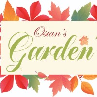 Osians Garden - Glacier Dwellings - Real Estate Bhiwandi