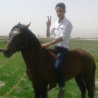 Hamidreza Oliaiey