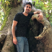 Stefano Goffi