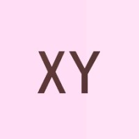 X Y
