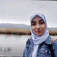 Elahe Bahmanabadi