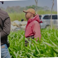 Galang Setiawan