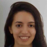 Dina Haroun