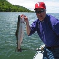 Bill Hartung