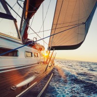 Auster Capital