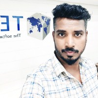 victor paul raj N