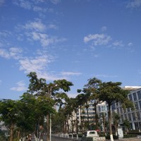 刘红生